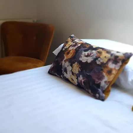 別荘 Les Rosiers デ パンネ