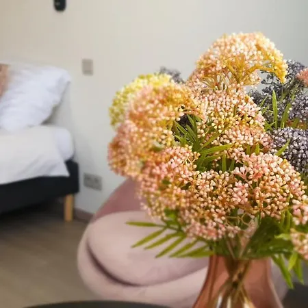 Les Rosiers Tatil Evi