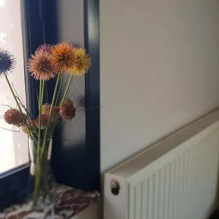 Les Rosiers De Panne