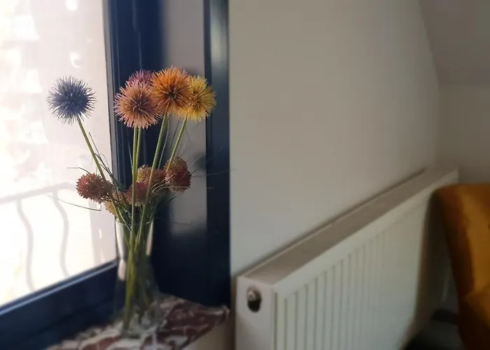 Les Rosiers De Panne